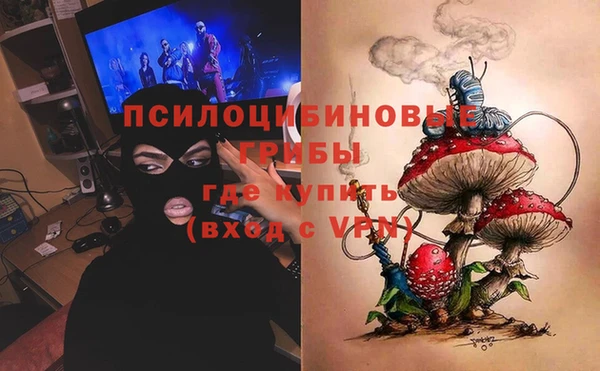 амф Алзамай