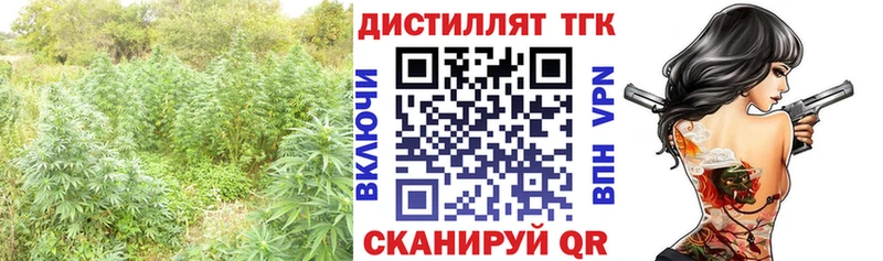 ТГК Wax  Черкесск 