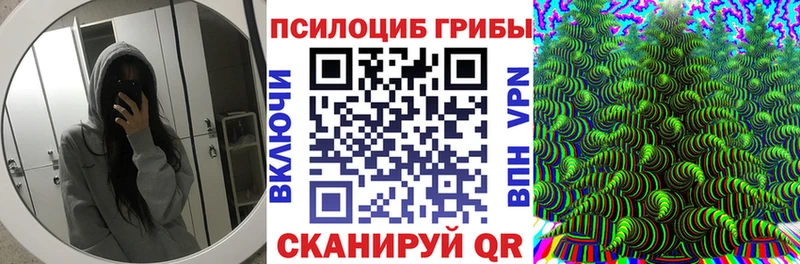 Псилоцибиновые грибы прущие грибы  где можно купить наркотик  Черкесск 